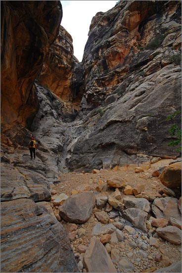 sm 5940.jpg - Ice Box Canyon ends with two year round pools after a rough half mile climb over car and house size boulders.